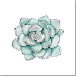 Watercolor succulent cactus Posters and Art